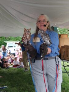 Screech Owls