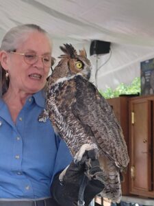 Great Horned Owl